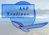 ASP Yvelines - Accompagnement et Douleur